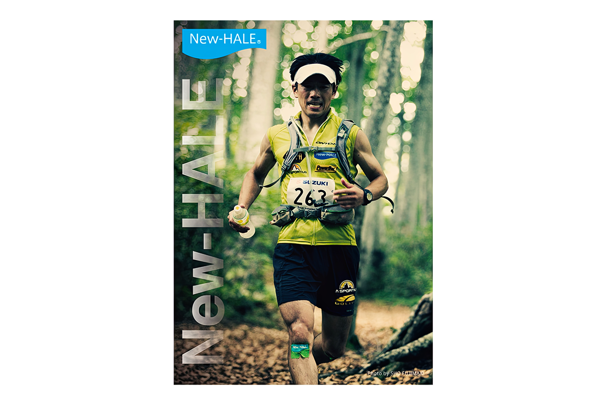 New-HALE ポスター