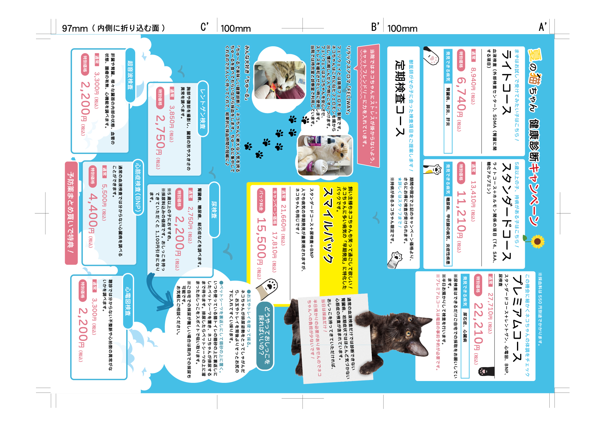 オーシャン動物病院様リーフレット