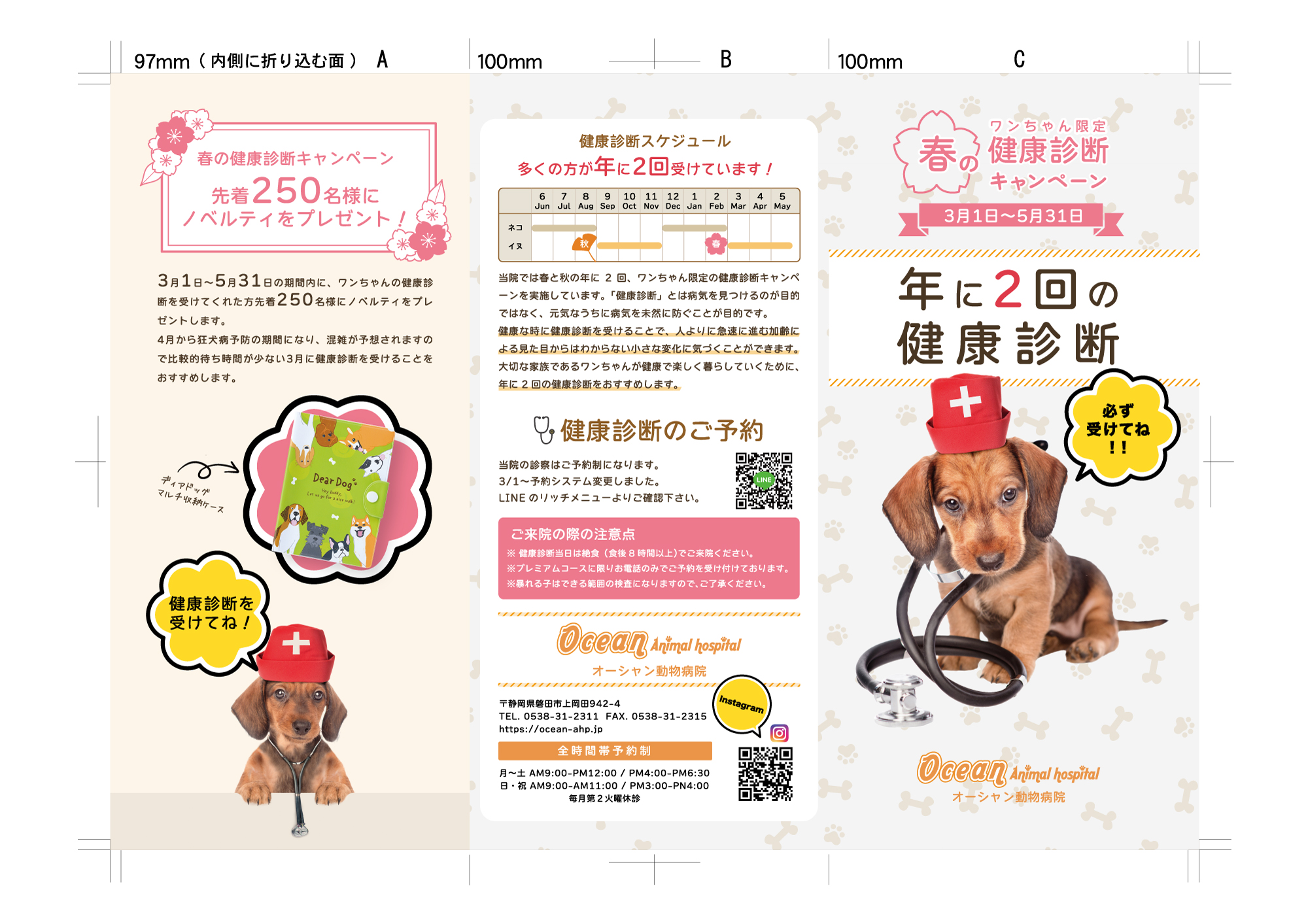 オーシャン動物病院リーフレット